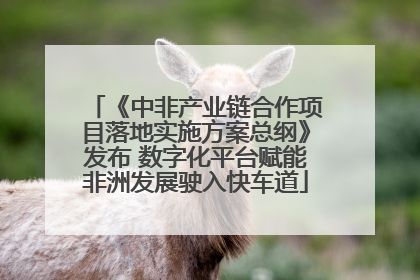 《中非产业链合作项目落地实施方案总纲》发布 数字化平台赋能非洲发展驶入快车道
