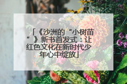 《沙洲的“小树苗”》新书首发式：让红色文化在新时代少年心中绽放