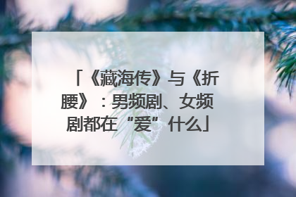 《藏海传》与《折腰》：男频剧、女频剧都在“爱”什么