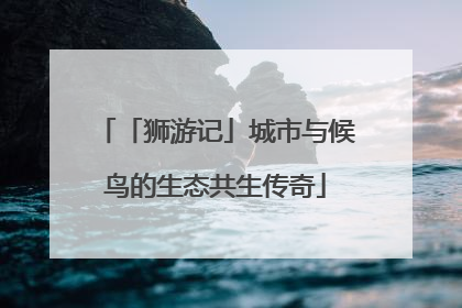 「狮游记」城市与候鸟的生态共生传奇