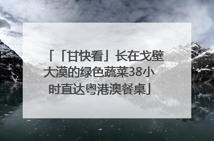 「甘快看」长在戈壁大漠的绿色蔬菜38小时直达粤港澳餐桌
