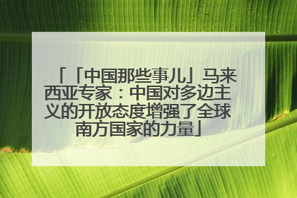 「中国那些事儿」马来西亚专家：中国对多边主义的开放态度增强了全球南方国家的力量