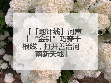 「地评线」河声丨“金针”巧穿千根线，打开善治河南新天地