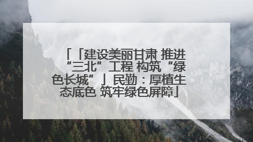 「建设美丽甘肃 推进“三北”工程 构筑“绿色长城”」民勤：厚植生态底色 筑牢绿色屏障