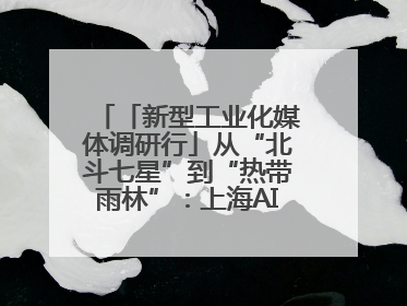 「新型工业化媒体调研行」从“北斗七星”到“热带雨林”：上海AI生态的技术商业共生密码