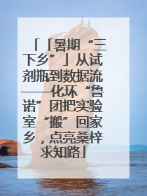 「暑期“三下乡”」从试剂瓶到数据流——化环“鲁诺”团把实验室“搬”回家乡，点亮桑梓求知路