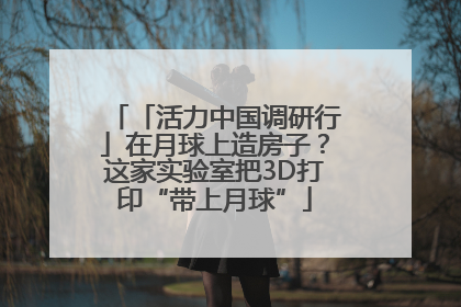 「活力中国调研行」在月球上造房子？这家实验室把3D打印“带上月球”