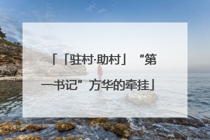 「驻村·助村」“第一书记”方华的牵挂