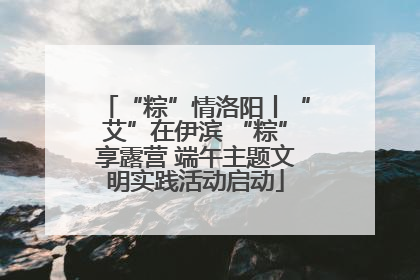 “粽”情洛阳丨“艾”在伊滨 “粽”享露营 端午主题文明实践活动启动