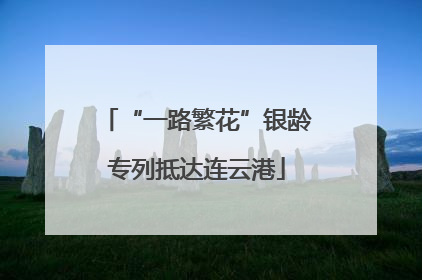 “一路繁花”银龄专列抵达连云港