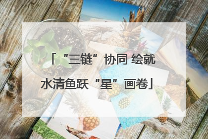 “三链”协同 绘就水清鱼跃“星”画卷
