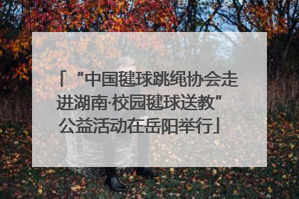 “中国毽球跳绳协会走进湖南·校园毽球送教”公益活动在岳阳举行