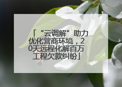 “云调解”助力优化营商环境，20天远程化解百万工程欠款纠纷