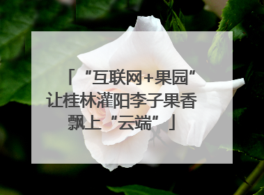 “互联网+果园”让桂林灌阳李子果香飘上“云端”