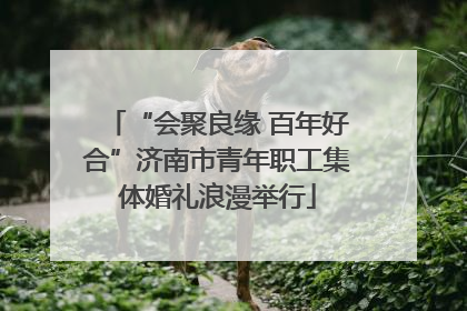 “会聚良缘 百年好合”济南市青年职工集体婚礼浪漫举行