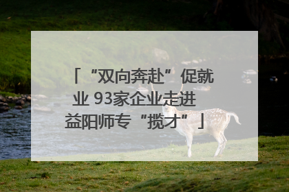 “双向奔赴”促就业 93家企业走进益阳师专“揽才”