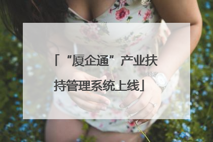 “厦企通”产业扶持管理系统上线