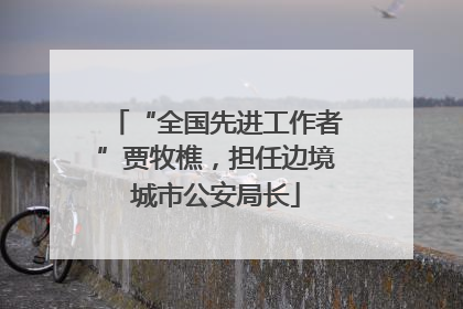 “全国先进工作者”贾牧樵，担任边境城市公安局长