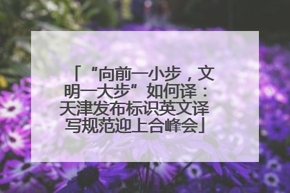 “向前一小步，文明一大步”如何译：天津发布标识英文译写规范迎上合峰会