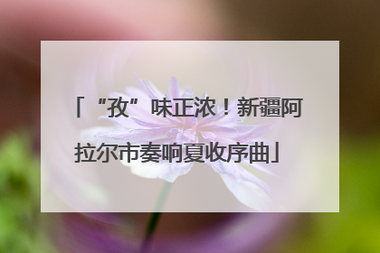 “孜”味正浓！新疆阿拉尔市奏响夏收序曲
