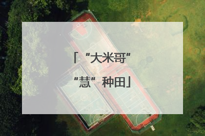 “大米哥”“慧”种田