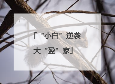 “小白”逆袭大“盈”家