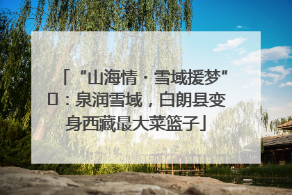 “山海情・雪域援梦”⑪：泉润雪域，白朗县变身西藏最大菜篮子