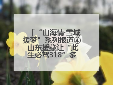 “山海情·雪域援梦”系列报道④ 山东援藏让“此生必驾318”多了N个理由