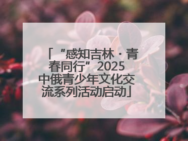 “感知吉林・青春同行”2025中俄青少年文化交流系列活动启动