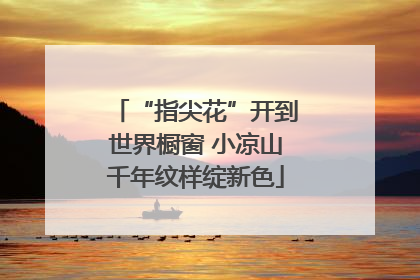 “指尖花”开到世界橱窗 小凉山千年纹样绽新色