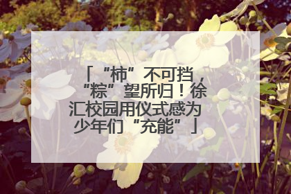 “柿”不可挡，“粽”望所归！徐汇校园用仪式感为少年们“充能”