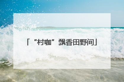 “村咖”飘香田野间