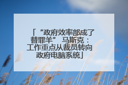 “政府效率部成了替罪羊” 马斯克：工作重点从裁员转向政府电脑系统