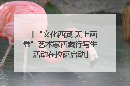 “文化西藏 天上画卷”艺术家西藏行写生活动在拉萨启动