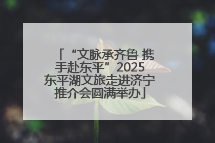 “文脉承齐鲁 携手赴东平”2025东平湖文旅走进济宁推介会圆满举办
