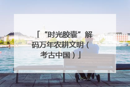 “时光胶囊”解码万年农耕文明（考古中国）