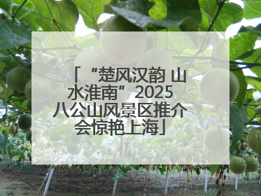 “楚风汉韵 山水淮南”2025八公山风景区推介会惊艳上海