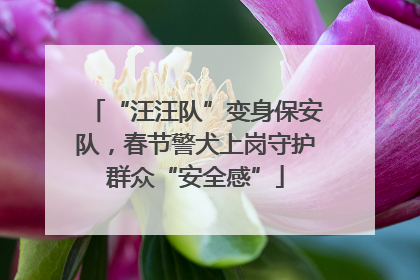 “汪汪队”变身保安队，春节警犬上岗守护群众“安全感”
