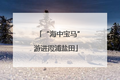 “海中宝马”游进霞浦盐田