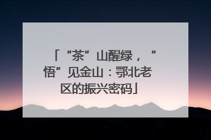 “茶”山醒绿，“悟”见金山：鄂北老区的振兴密码