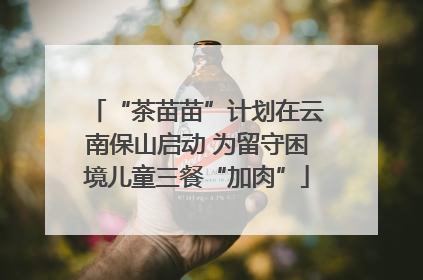 “茶苗苗”计划在云南保山启动 为留守困境儿童三餐“加肉”