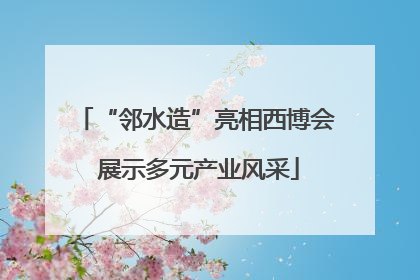 “邻水造”亮相西博会 展示多元产业风采
