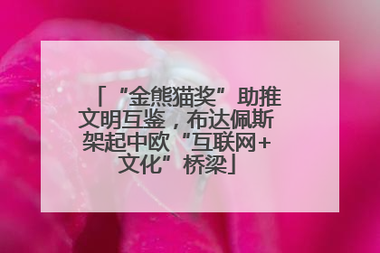“金熊猫奖”助推文明互鉴，布达佩斯架起中欧“互联网+文化”桥梁