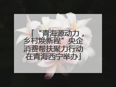 “青海源动力，乡村焕新程”央企消费帮扶聚力行动在青海西宁举办