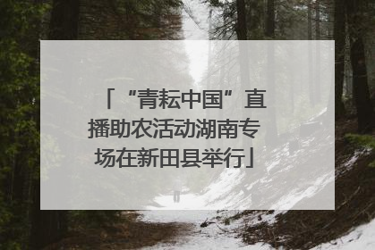 “青耘中国”直播助农活动湖南专场在新田县举行