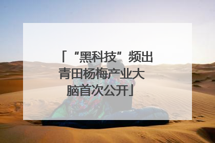“黑科技”频出 青田杨梅产业大脑首次公开