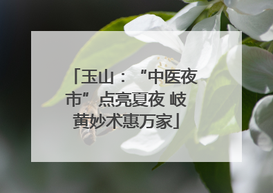 玉山：“中医夜市”点亮夏夜 岐黄妙术惠万家