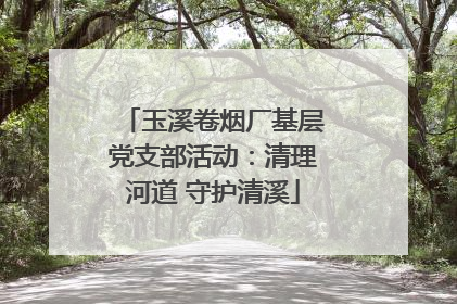 玉溪卷烟厂基层党支部活动：清理河道 守护清溪