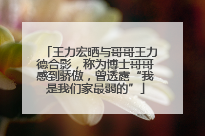 王力宏晒与哥哥王力德合影，称为博士哥哥感到骄傲，曾透露“我是我们家最弱的”