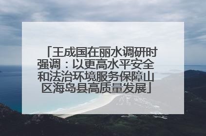 王成国在丽水调研时强调：以更高水平安全和法治环境服务保障山区海岛县高质量发展